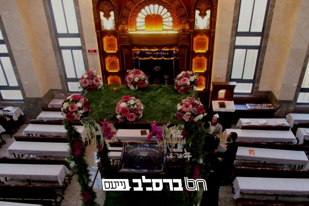 בית שמש • קישוט העשבים וענפי העצים בבית הכנסת ברסלב שבקריה החרדית