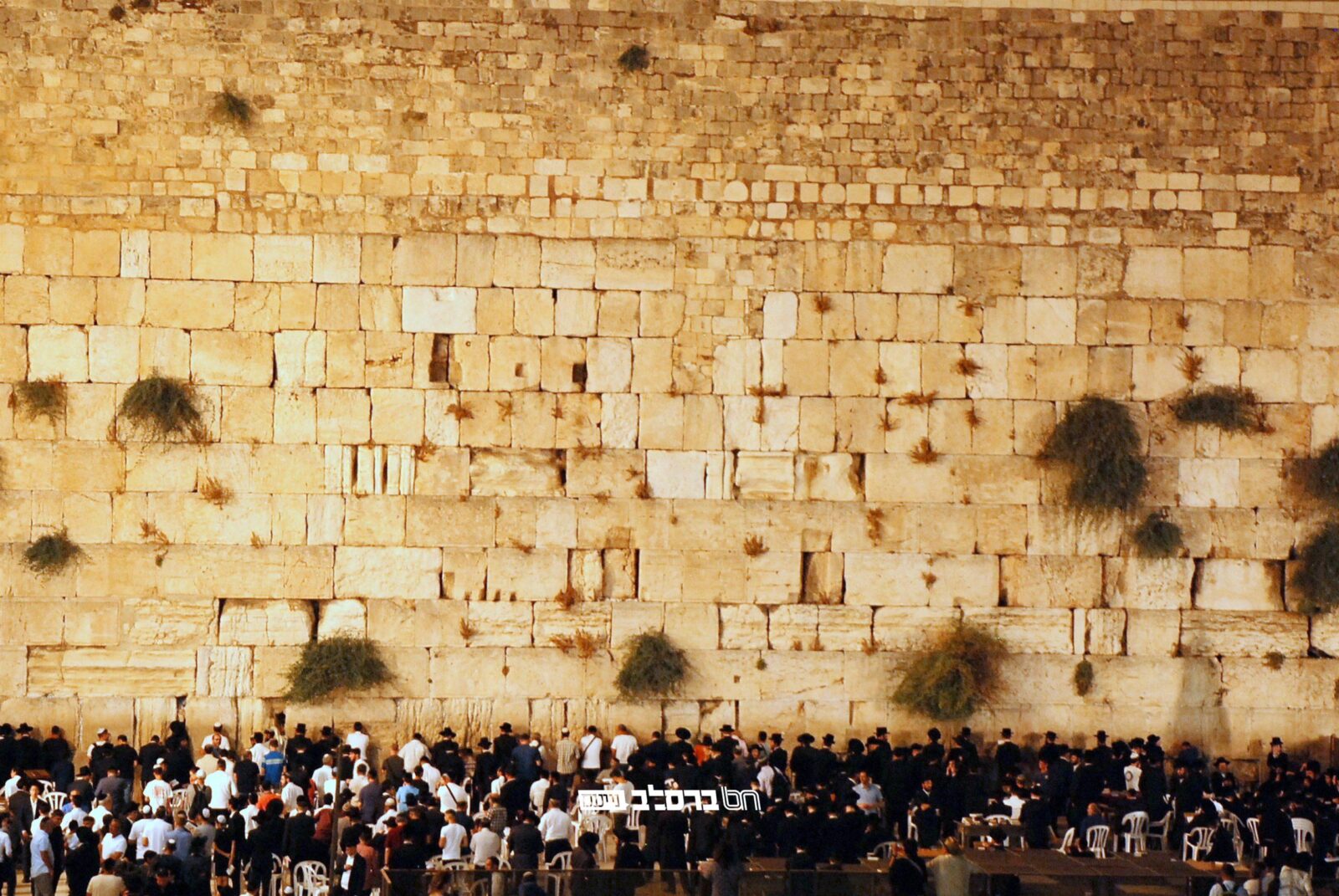 תשעה באב • חורבן בית המקדש בספרי ברסלב