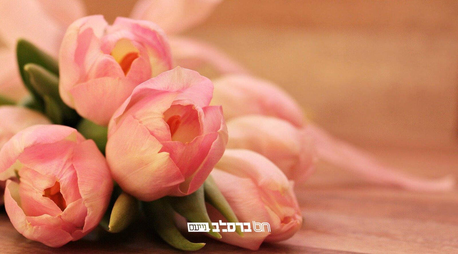 חֲבֵרוֹת מַקְשִׁיבוֹת • נשות אנ"ש בצפון עם עלון לחודש אב