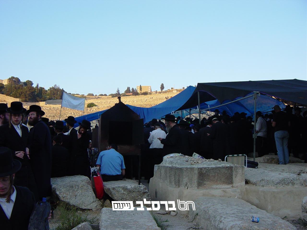 שוב התנכלות לעליה להילולת האור החיים הקדוש