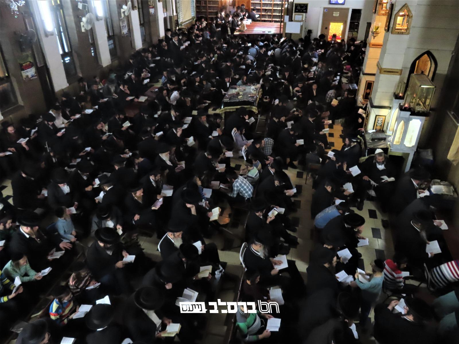בָּכוֹ תִבְכֶּה בַּלַּיְלָה • אמירת הקינות בליל תשעה באב בבית הכנסת הגדול דחסידי ברסלב במאה שערים • צפו