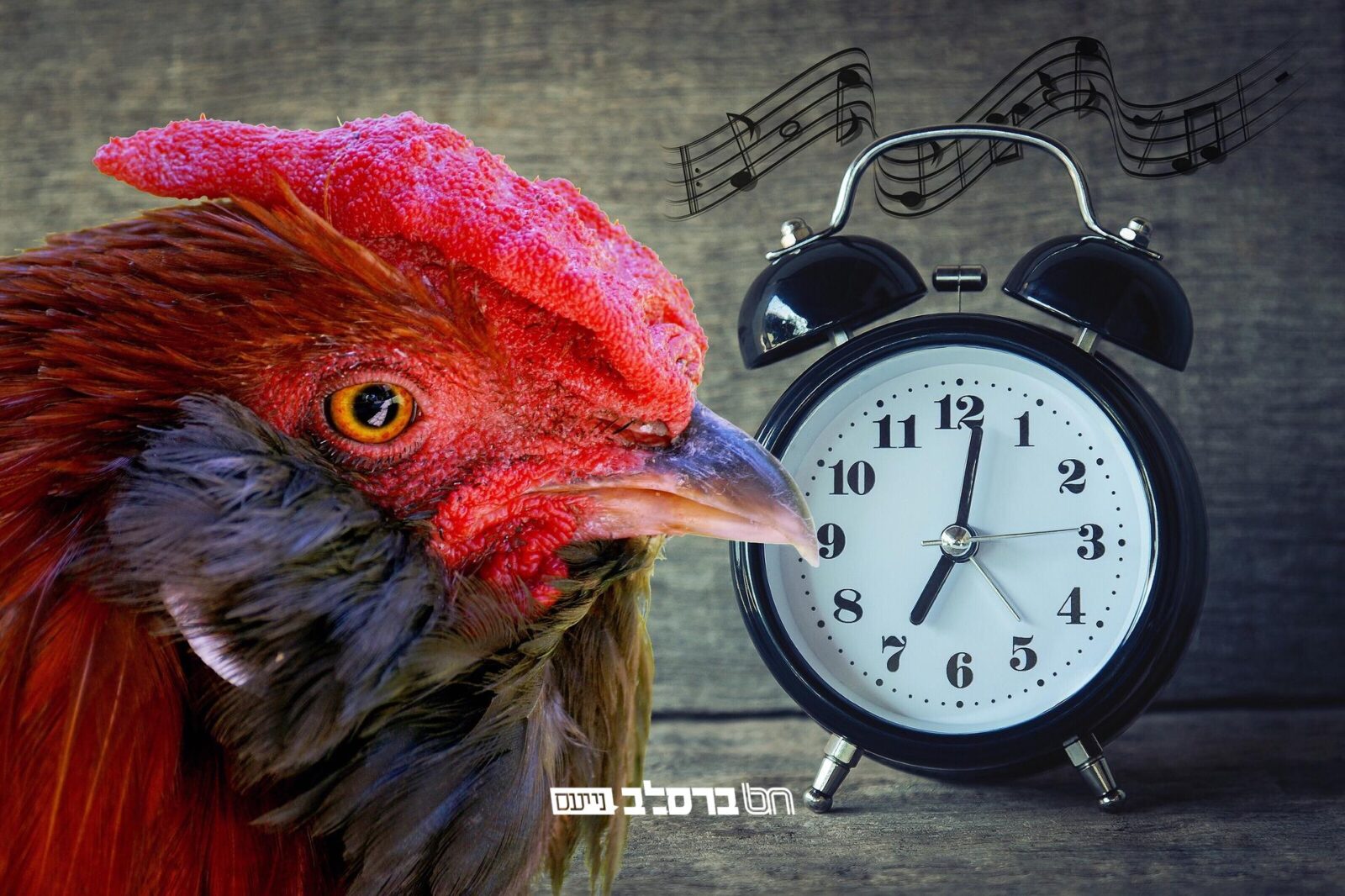 מורשת הנחל • איחוד האברכים ירושלים מארגנים מעמד "עיקר העבודה" לחיזוק הקימה בחצות