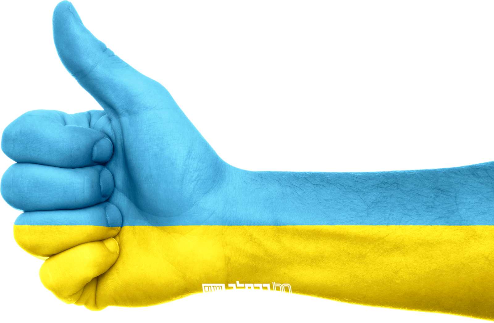 אוקראינה האנטישמית 2020