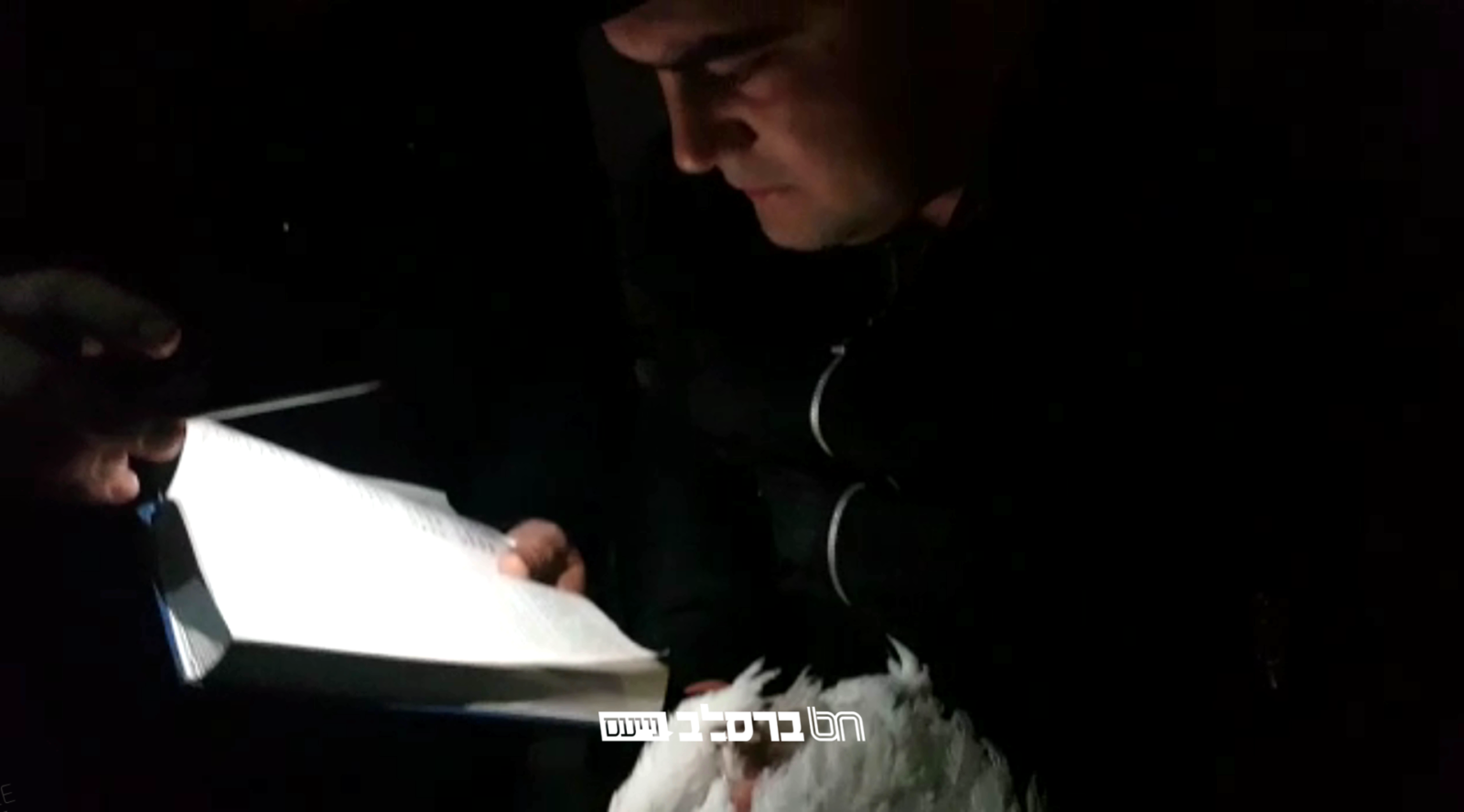 אוקראינה • העסקן ר' הלל כהן ארגן מנהג כפרות ליהודי קהילת קייב • צפו