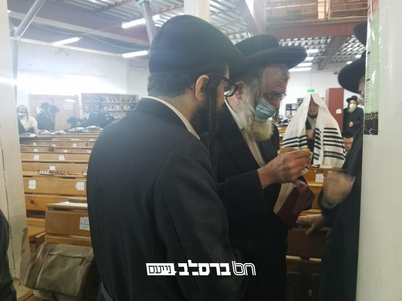 זְכֹר בְּרִית באומן: צפו בסליחות ותפילת השחרית שלאחריה בקלויז המרכזי באומן • חלק ב'
