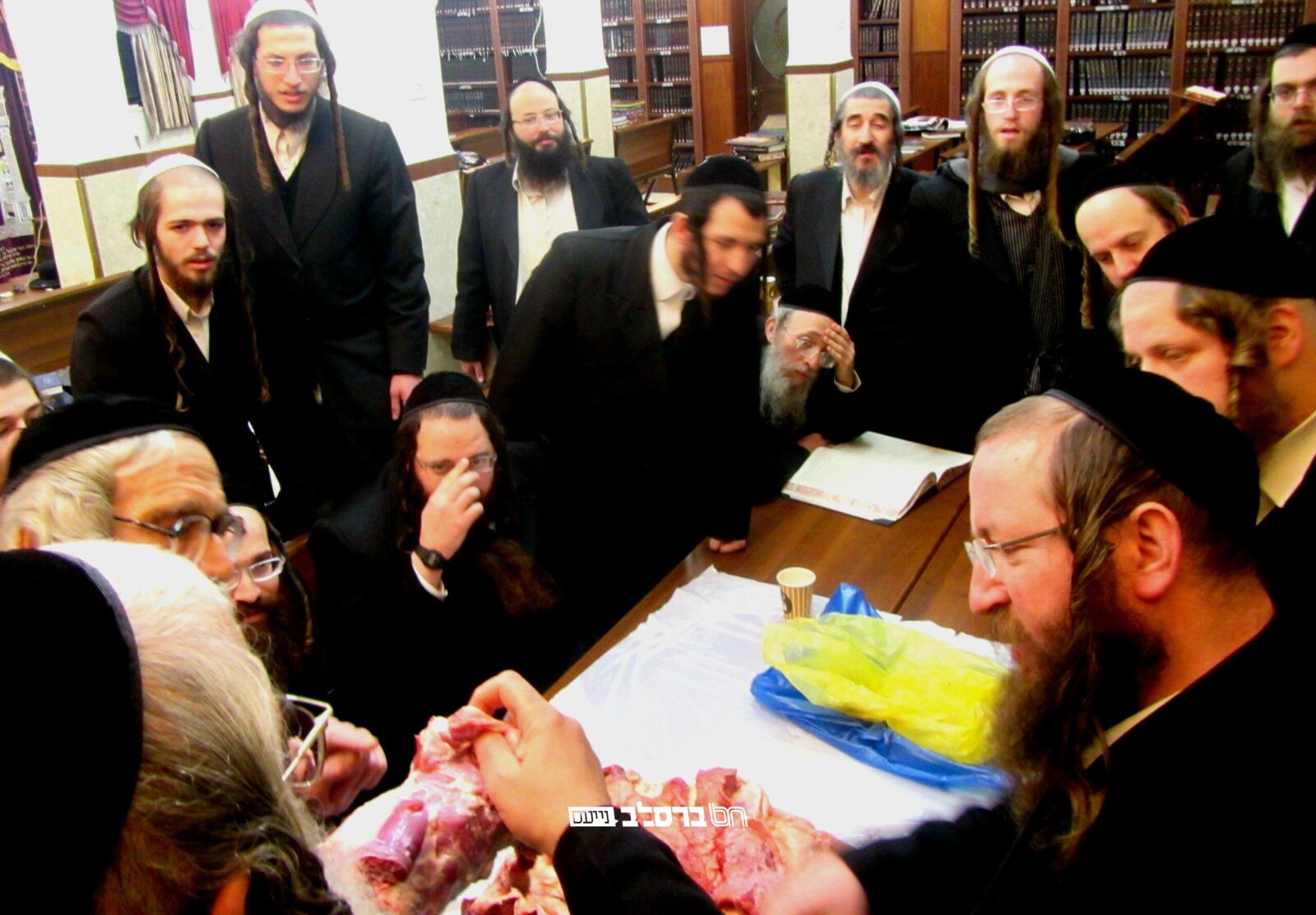 שיעור מרתק בהלכות טריפות מהרב שלום זוהר בכולל חצות 'אורות הנחל' שבבית הכנסת הגדול שבירושלים השול