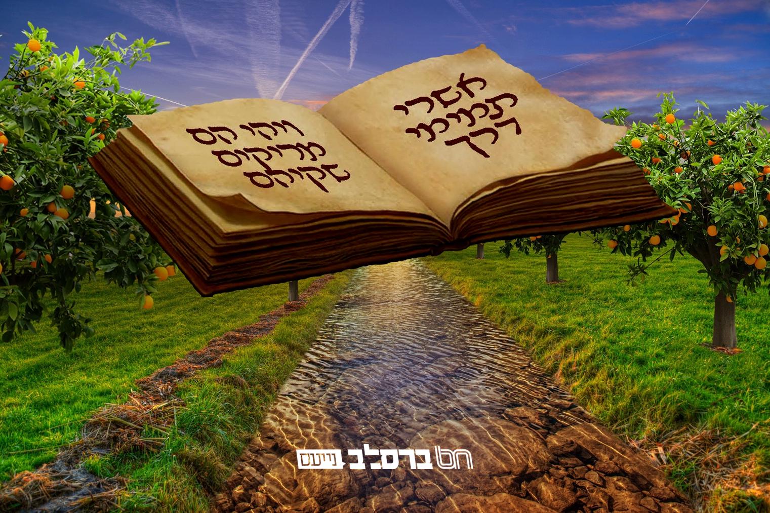תמימי דרך • בהילולת מוהרנ"ת מתחילים את תורה י"ז מספה"ק 'ליקוטי מוהר"ן'