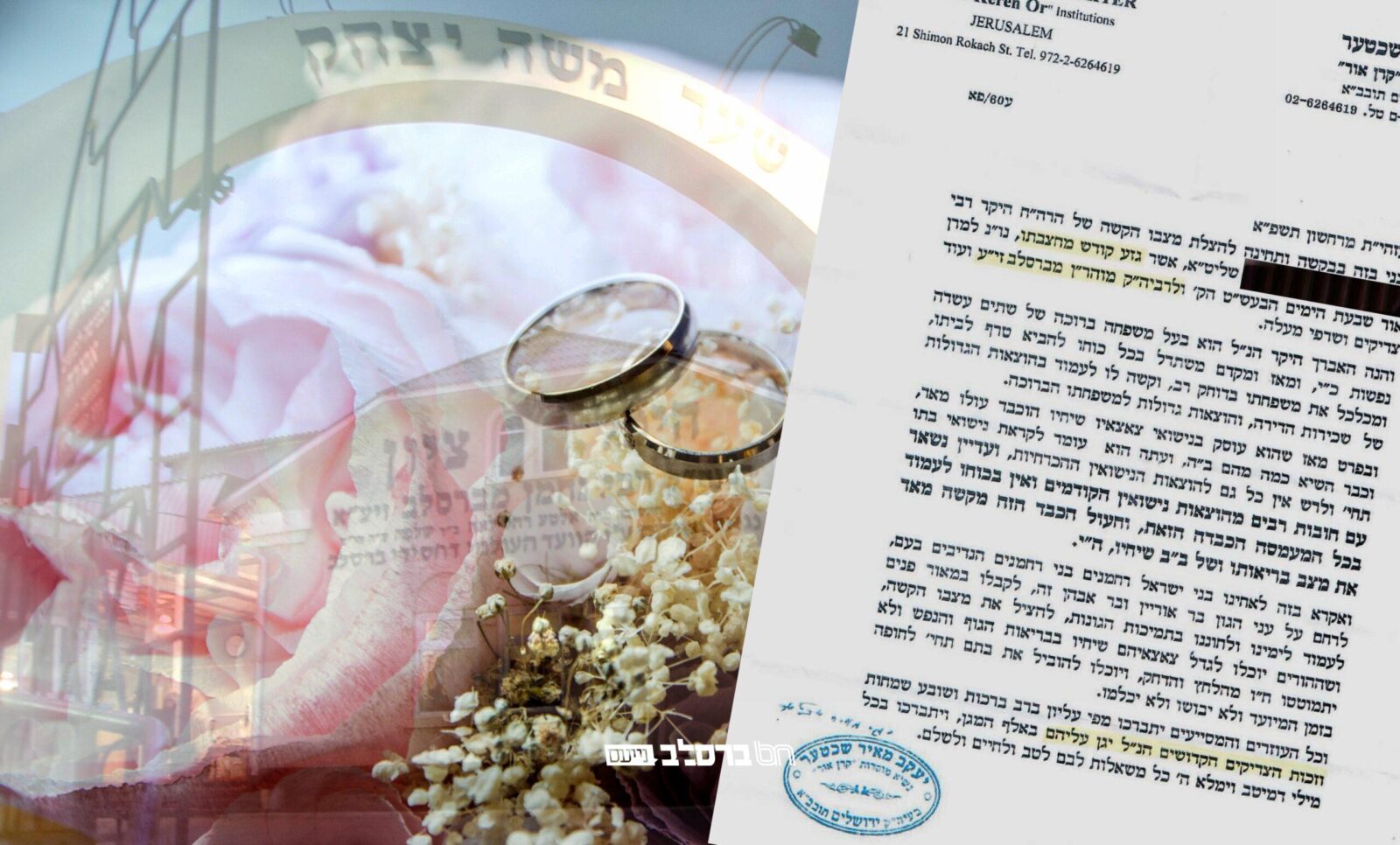 רביה"ק ציוונו 'לכבד את יוצאי חלציו מאד': נכדו של רביה"ק במצר, קחו חלק במצוה הגדולה