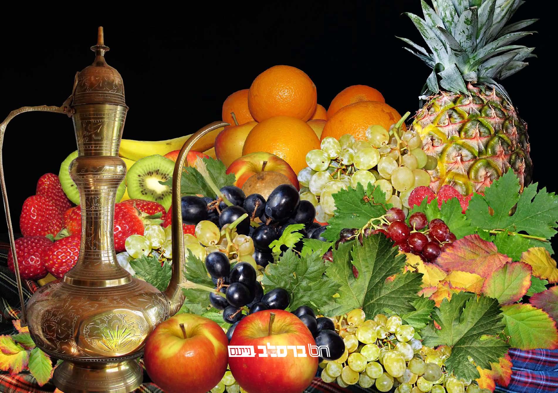 חֲמִשָה עָשָר בִשְבָט • ראש השנה לאילנות בתורת ברסלב