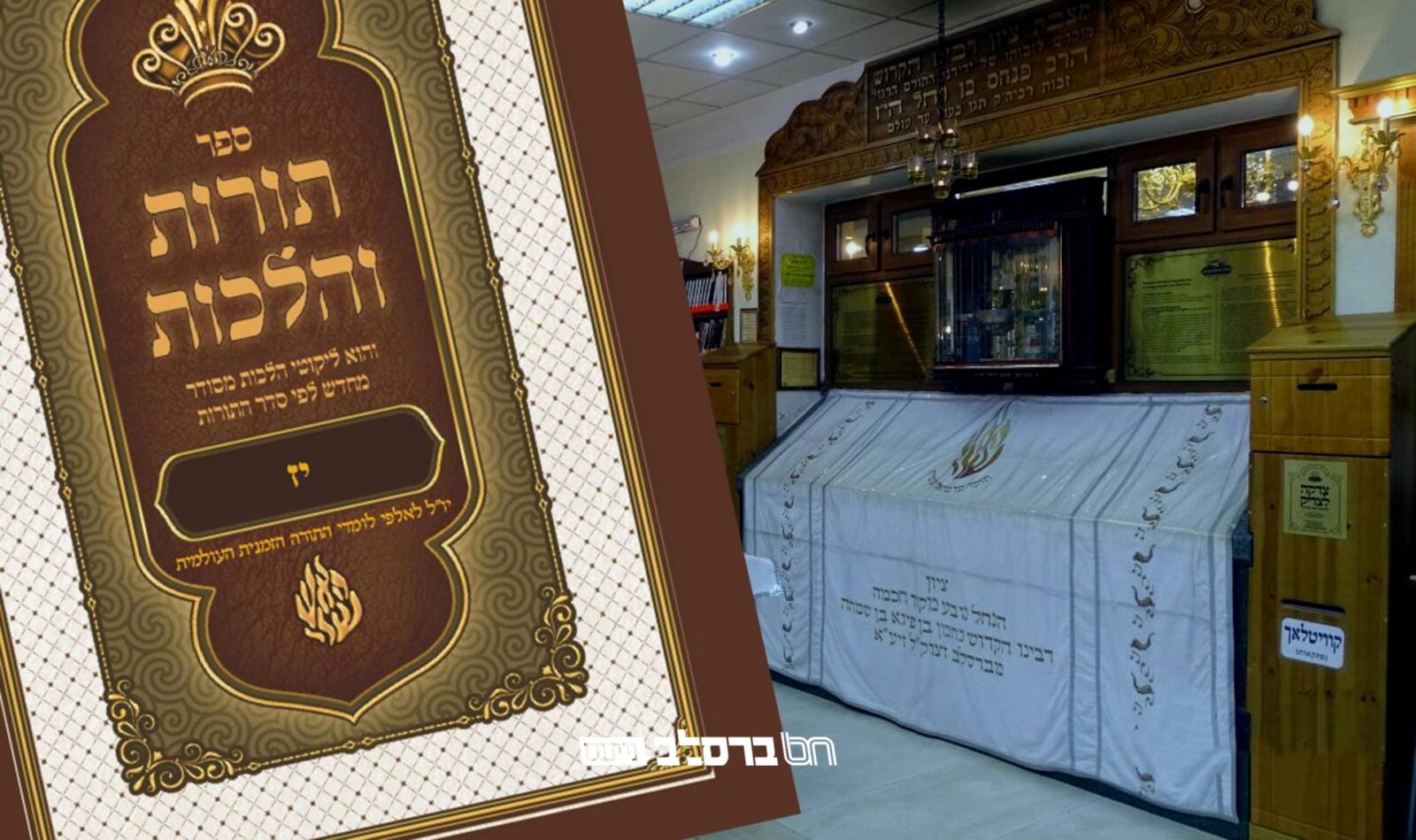 תורה ב' תנינא • קונטרס 'תורות והלכות' על התורה |↓