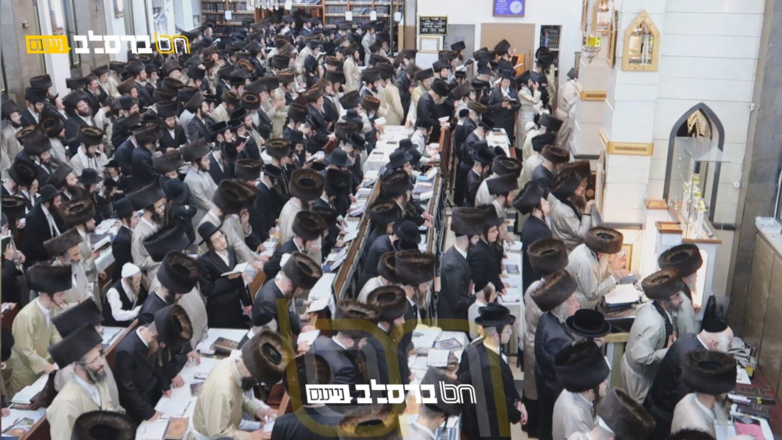 סְפִירַת הָעֹמֶר • צפו הגה"צ רבי שמעון שפירא בספירת העומר בשול