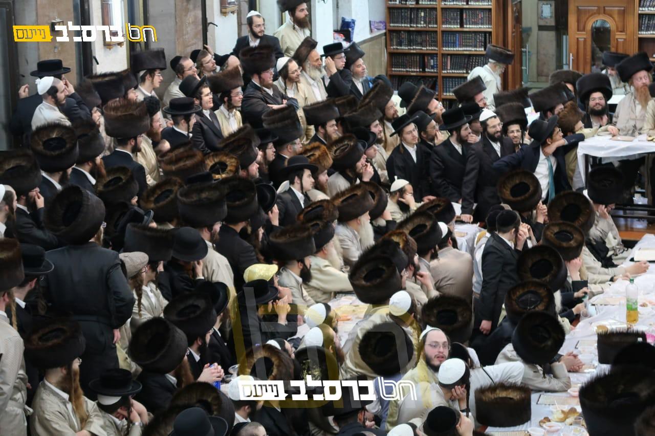 אוסף תמונות נבחרות ממראות חג הפורים בחצרות אנ"ש • מתעדכן