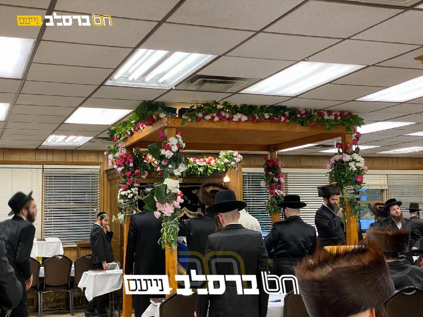 כָבוֹד לַתּוֹרָה • בית הכנסת 'ברכת הנחל' במאנסי מקושט לכבוד התורה