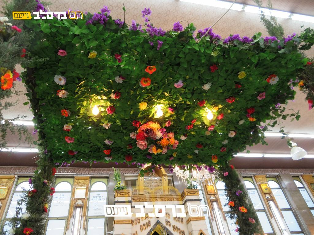 צִצִּים וּפְרָחִים • בית הכנסת הגדול שבירושלים לקראת חג השבועות | גלריה שניה