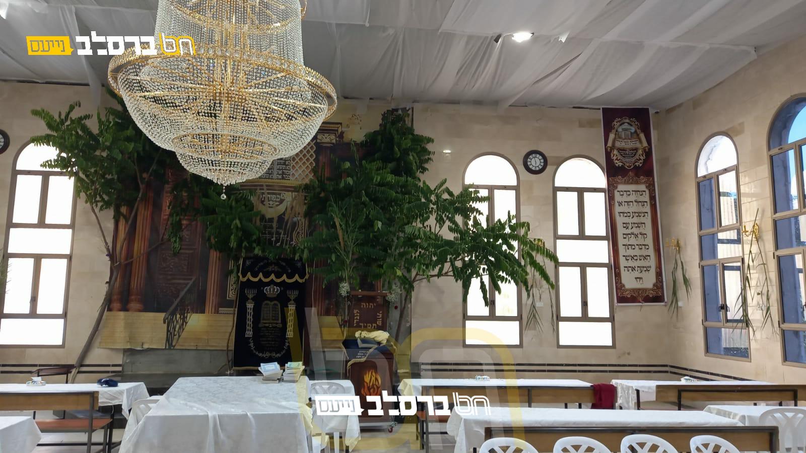 חַג הַשָׁבוּעוֹת הַזֶּה • בית הכנסת 'פאר הנצח' בצפת מקושט לקראת החג