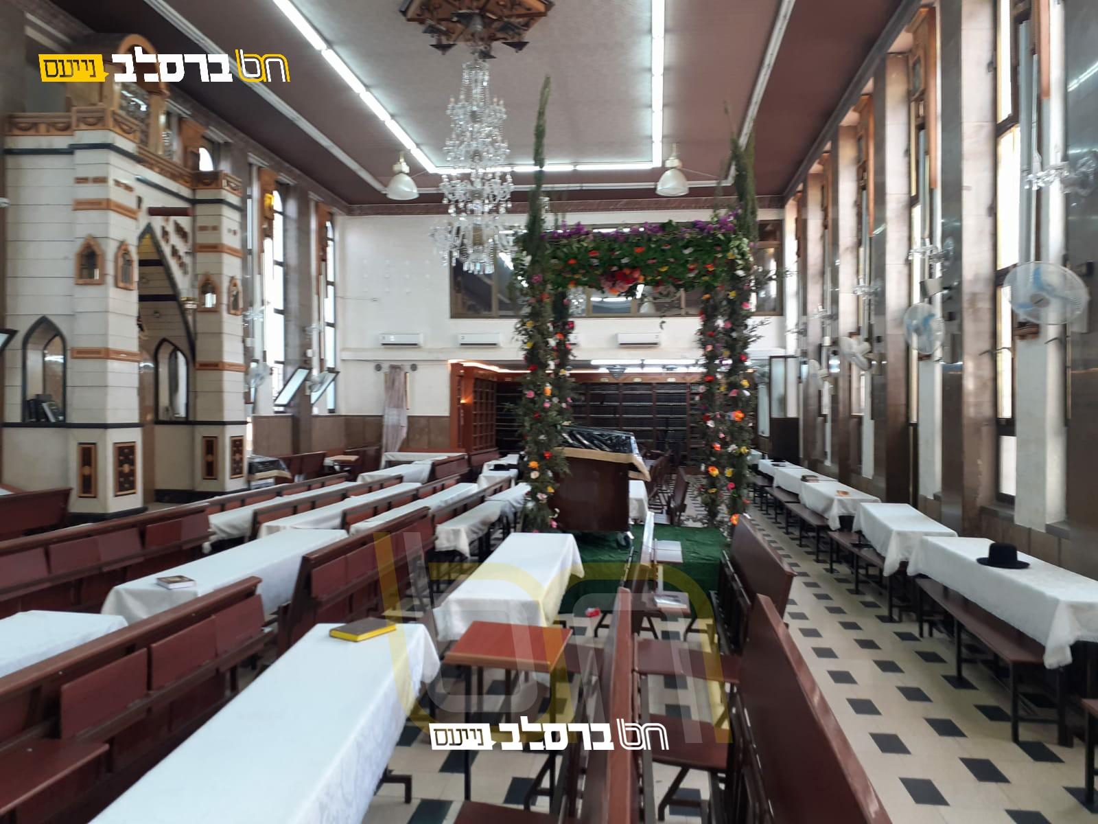 צִצִּים וּפְרָחִים • בית הכנסת הגדול שבירושלים בחופת עצים ופרחים לקראת חג השבועות