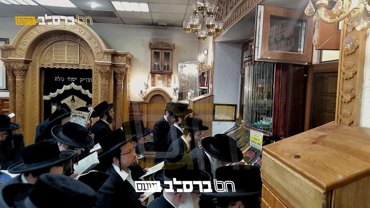 אומן •  המשפיע רבי צבי הירש פיש עם קבוצה בציון רבינו הקדוש | צפו