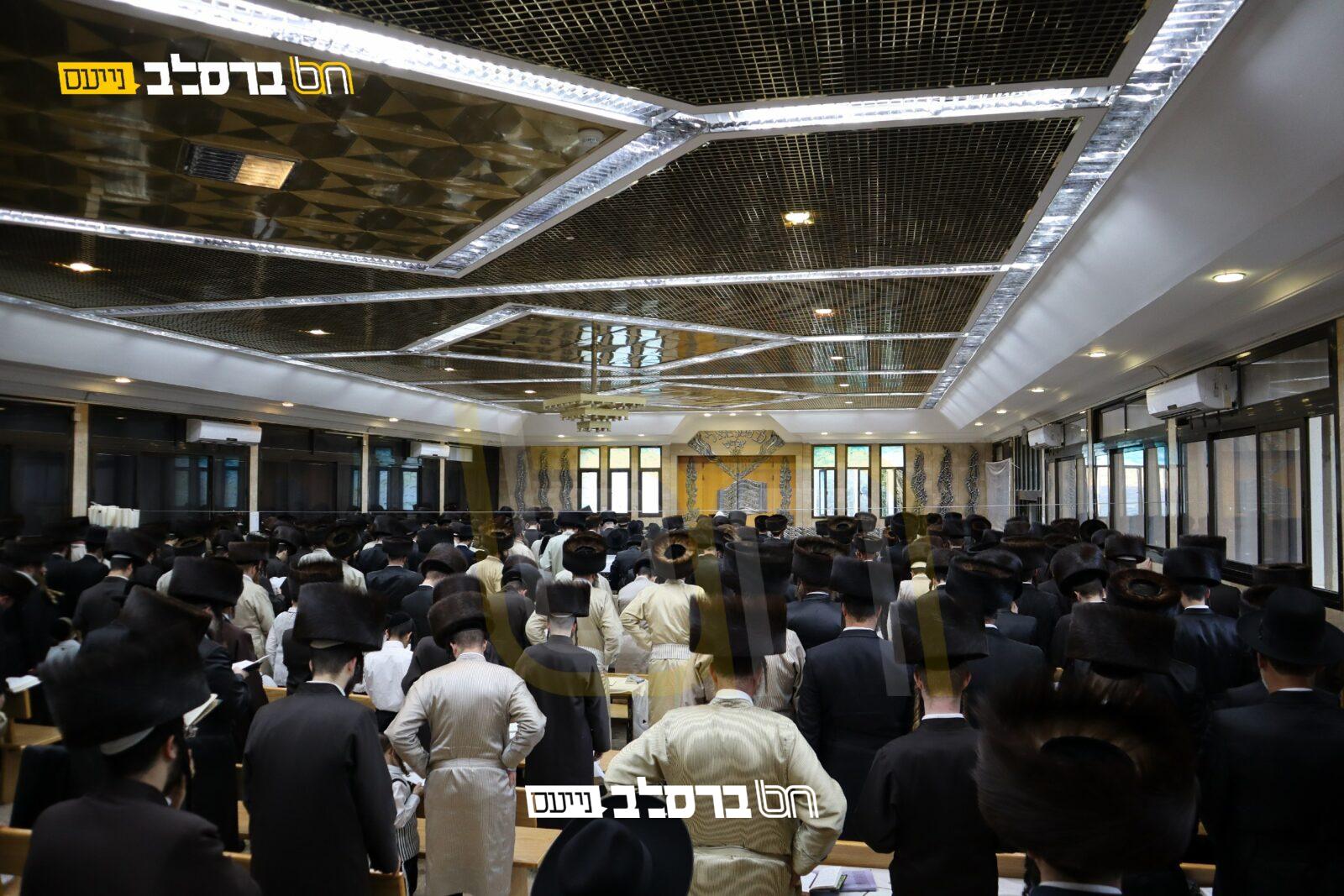 מורשת הנחל: שבת התאחדות והתעלות לאברכים במירון