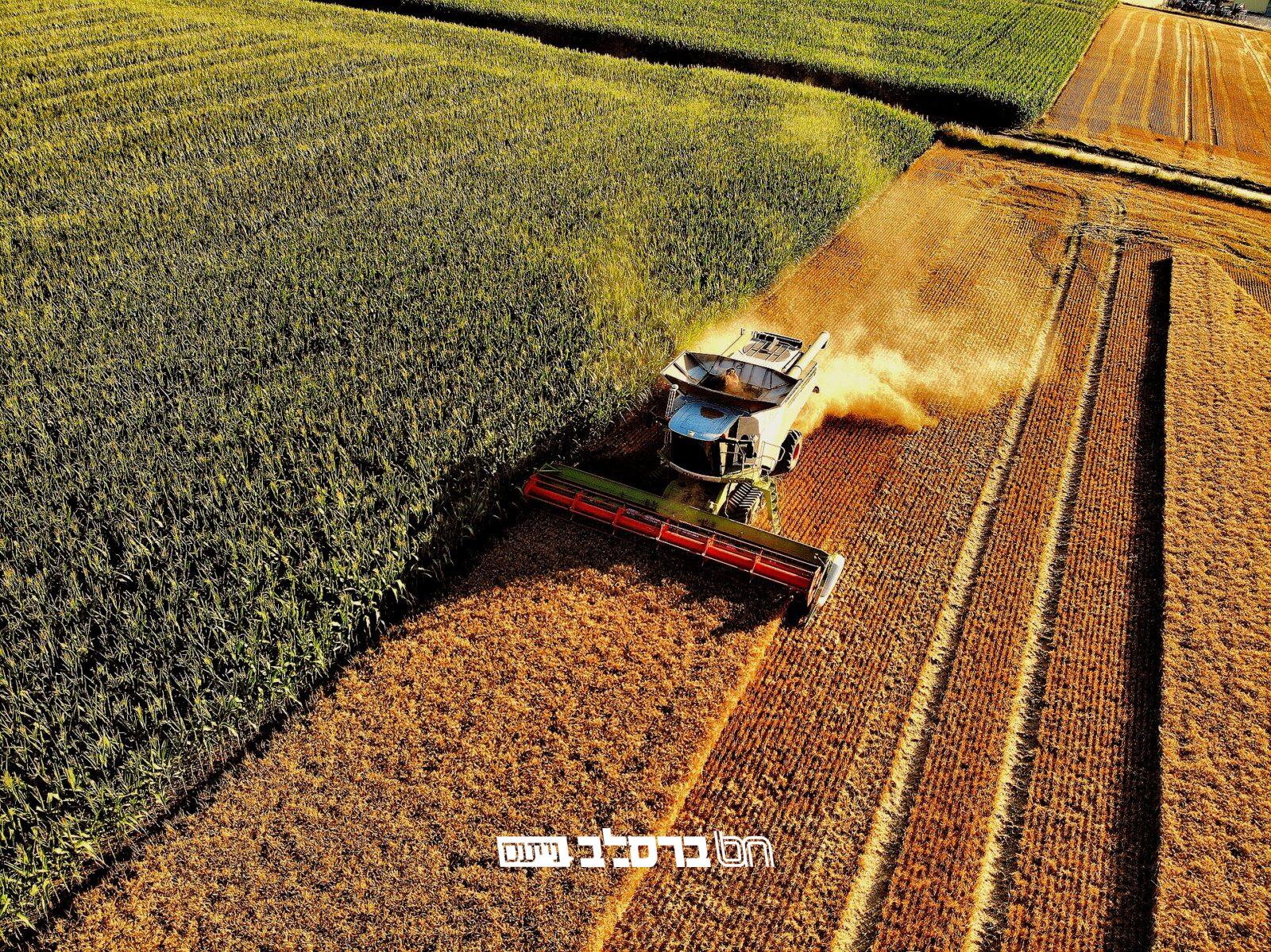 "בַּשָּׁנָה הַשִּׁשִּׁית" עדות נאמנה ומטלטלת בזכות מצות השמיטה | האזינו