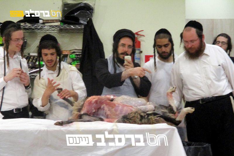 קיבוץ תשפ"ב • פעילות בישיבת 'מבקשי השם' באומן