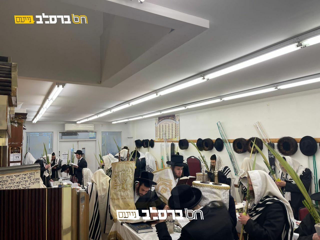 הושענא רבא • בביהמ"ד ברסלב בארא פארק 16