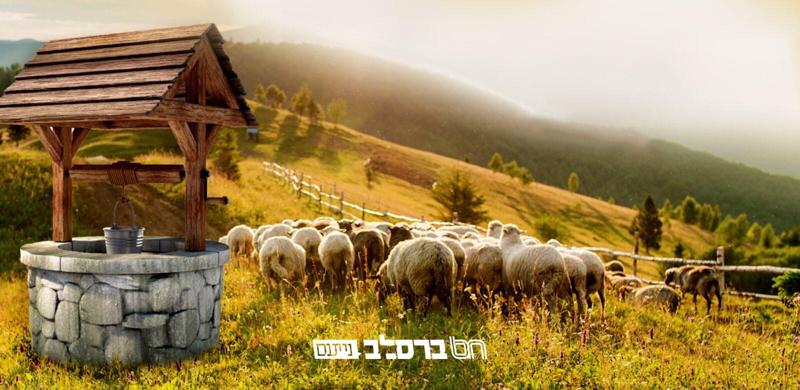 'אֶת־אַחַי' • פורצים דרך ב'פרויקט השיעורים'