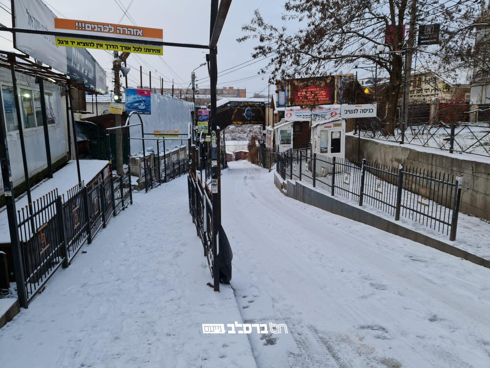 כַּשֶּׁלֶג יַלְבִּינוּ • אומן נצבעה בלבן