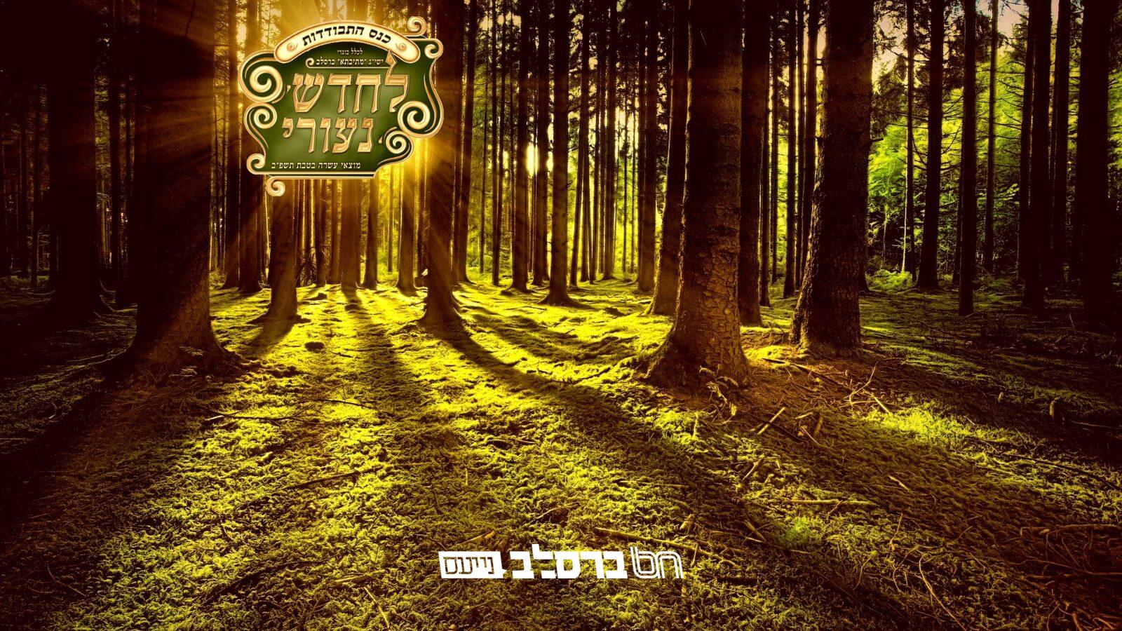 'לְחַדֵּשׁ נְעוּרַי' • בוגרי מתיבתא מתכוננים לכנס התבודדות