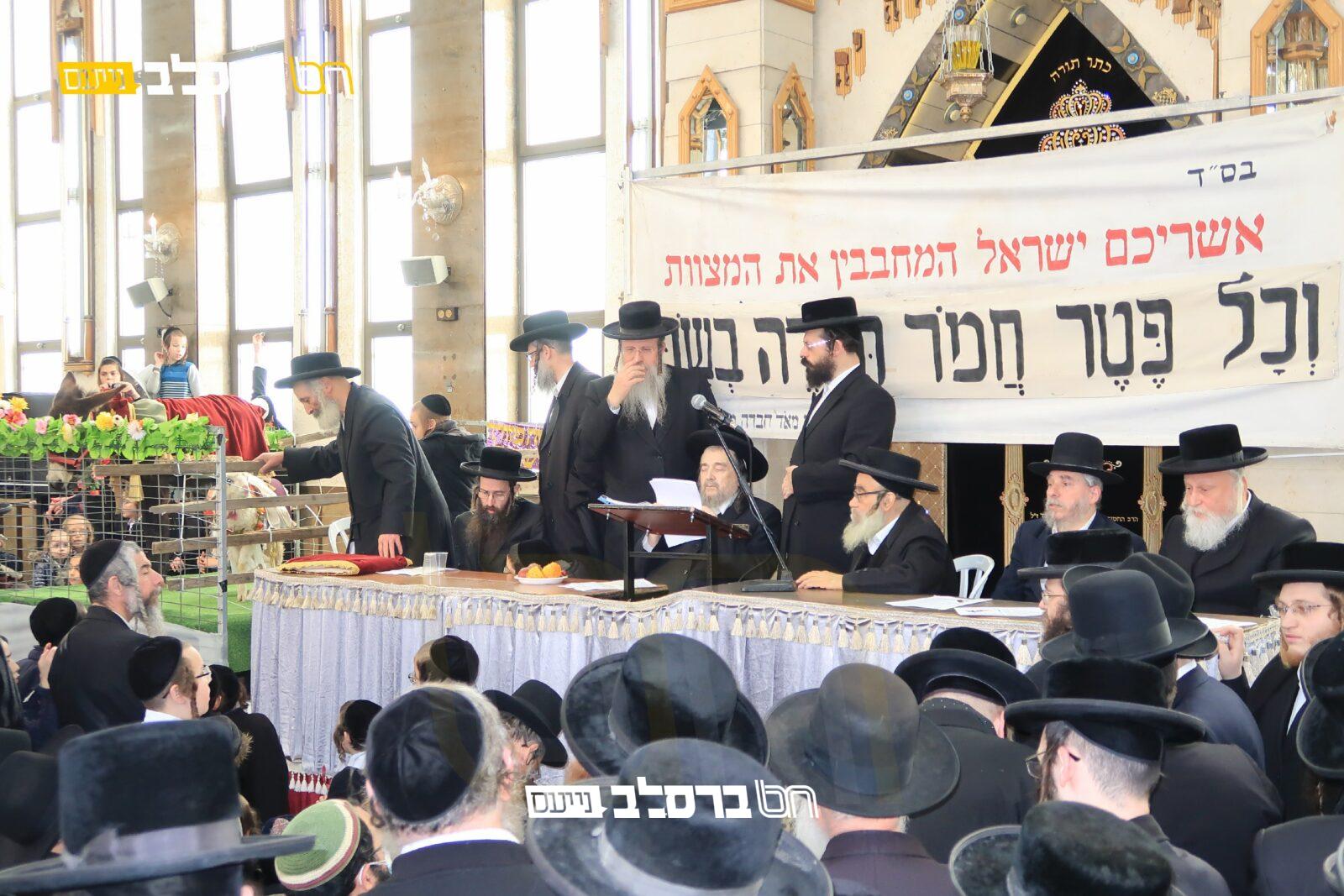 "פֶּטֶר חֲמֹר תִּפְדֶּה" • מעמד היסטורי של מצות פדיון פטר חמור | צפו