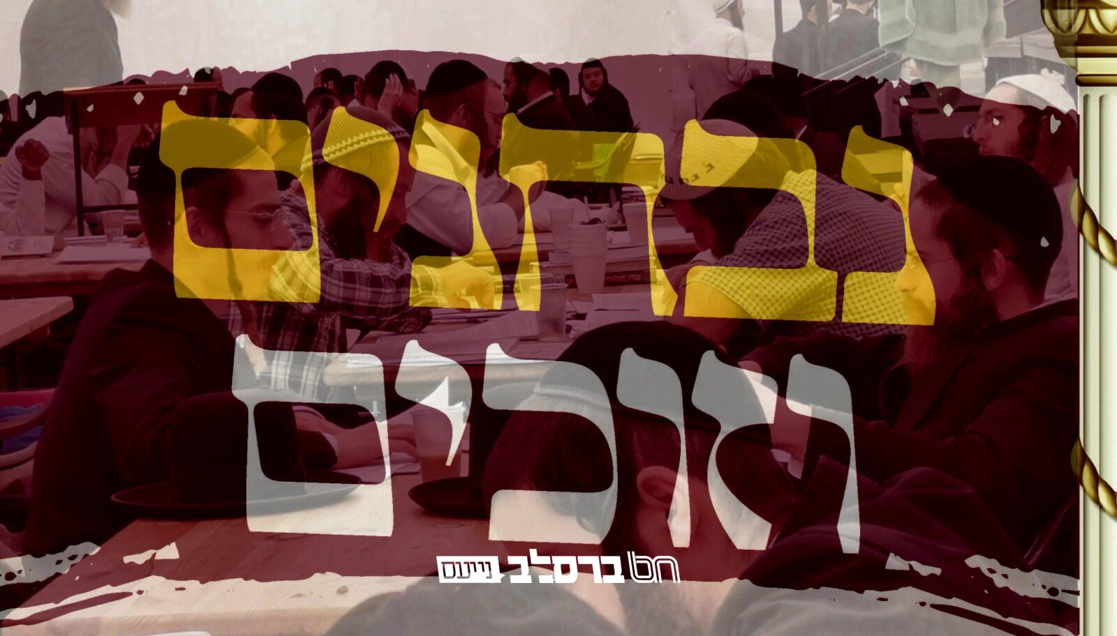 לטייל בתורתו • פרוייקט 'נבחנים וזוכים'