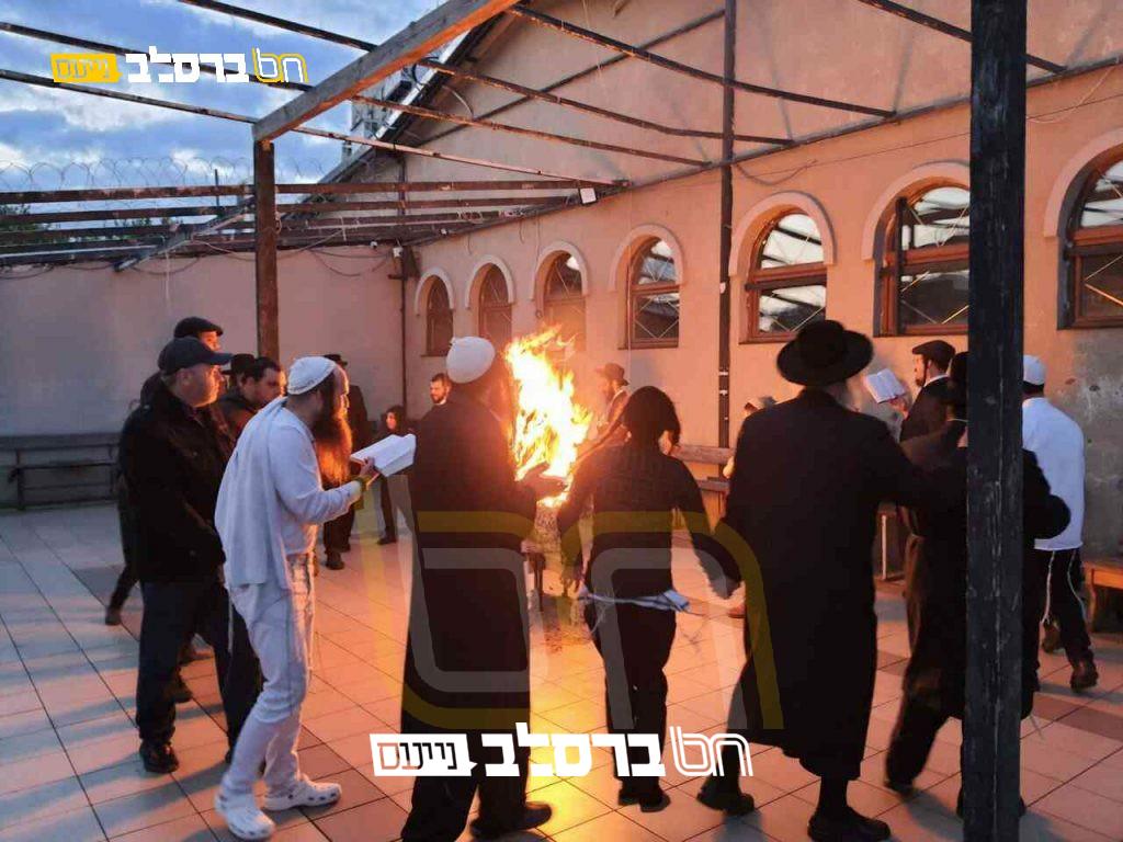 איחוד ברסלב באומן • הדלקה לכבוד הרשב"י בחצר הציון