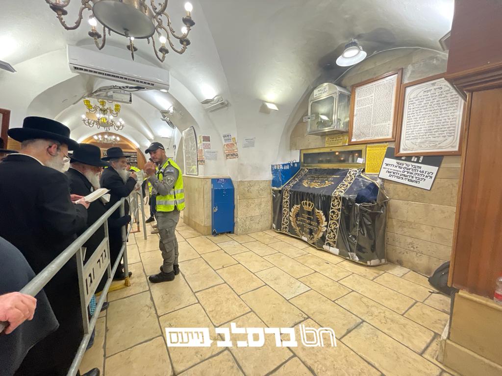 שׁוּעָלִים הִלְּכוּ בוֹ • כך נראה הר הקודש מירון | צפו