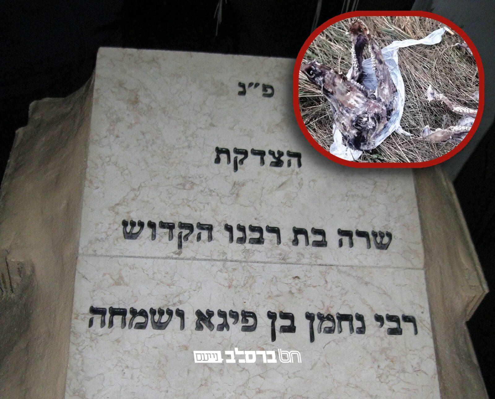 מזעזע: שוב חולל קברה של הצדקת ש'רקה בת רביה"ק