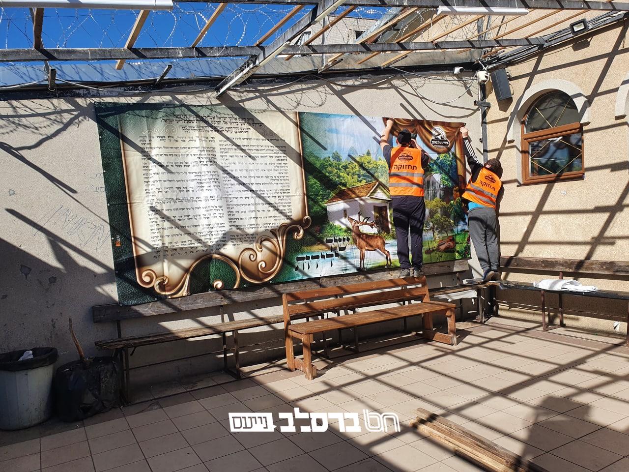 אומן • סוכה גדולה נבנתה בחצר הציון הקדוש | צפו