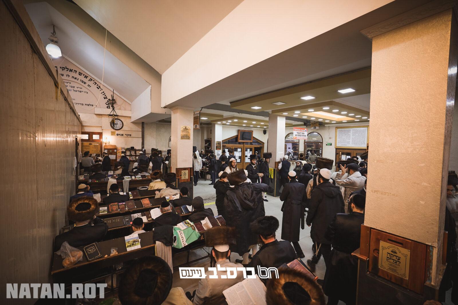 קיבוץ תשפ"ג • גלריה ממראות קיבוץ ראש השנה | #2