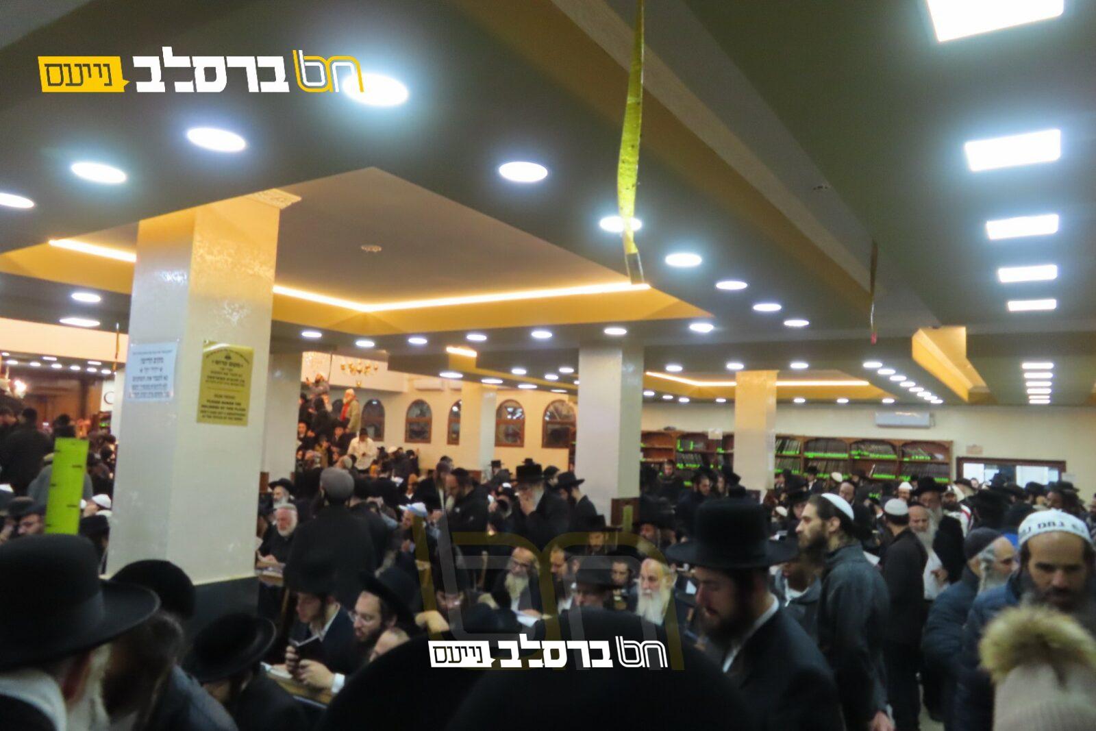 קיבוץ תשפ"ג • גלריה ממראות קיבוץ ראש השנה | #1