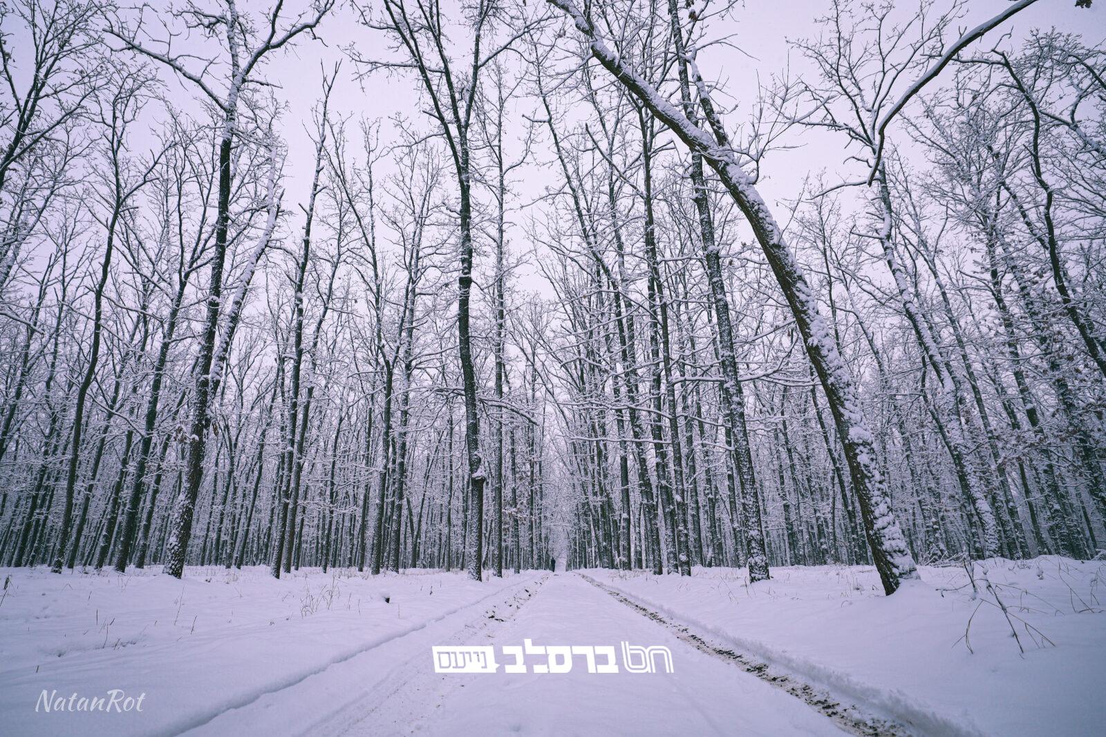 גל השלג באומן מעדשתו של הצלם Natan Rot | צפו