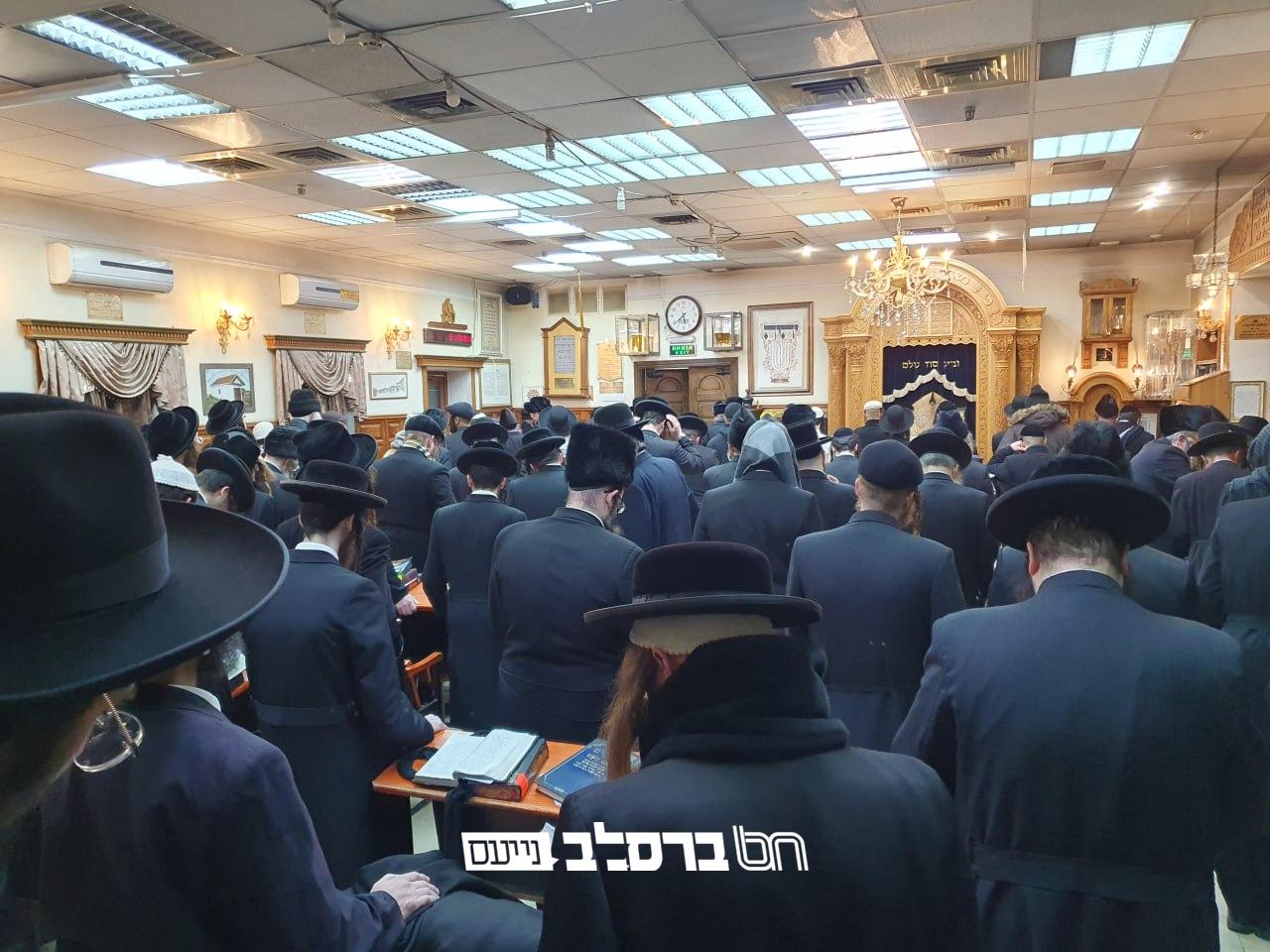 אומן • ער"ח שבט בציון | צפו