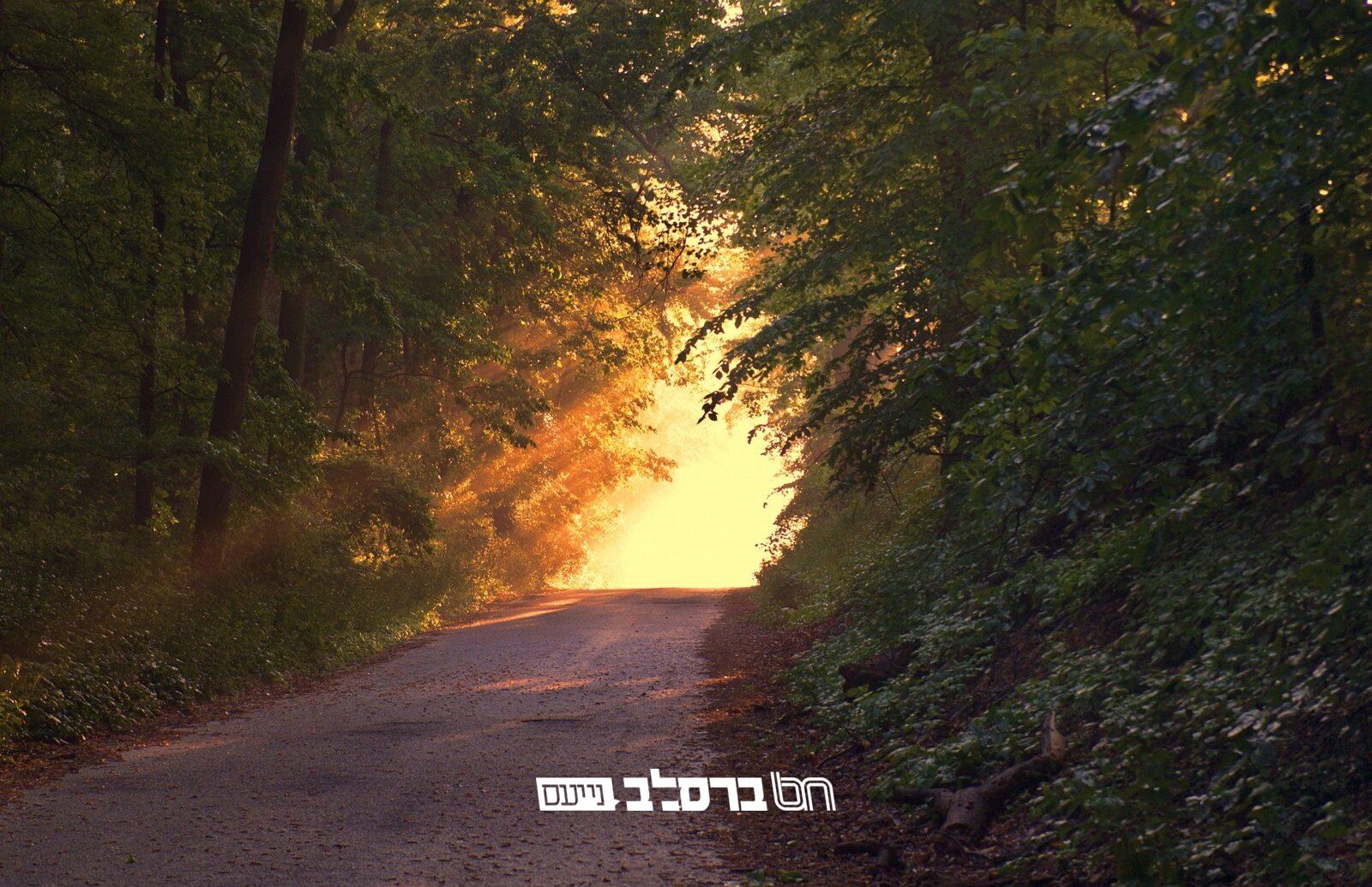 התורה הזמנית • יצא לאור גילון 'אתהלך' | #2