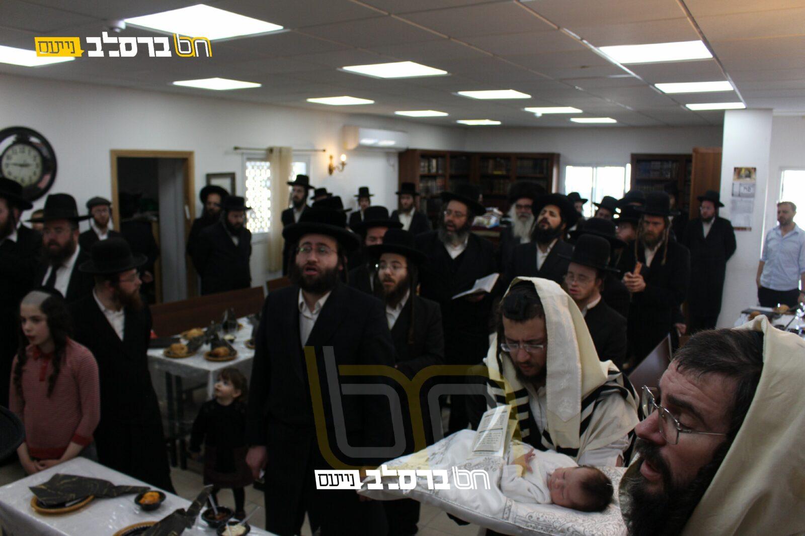 בֶּן שְׁמוֹנַת יָמִים • ברית לבנו של הר"ר נחמן מלמד הי"ו