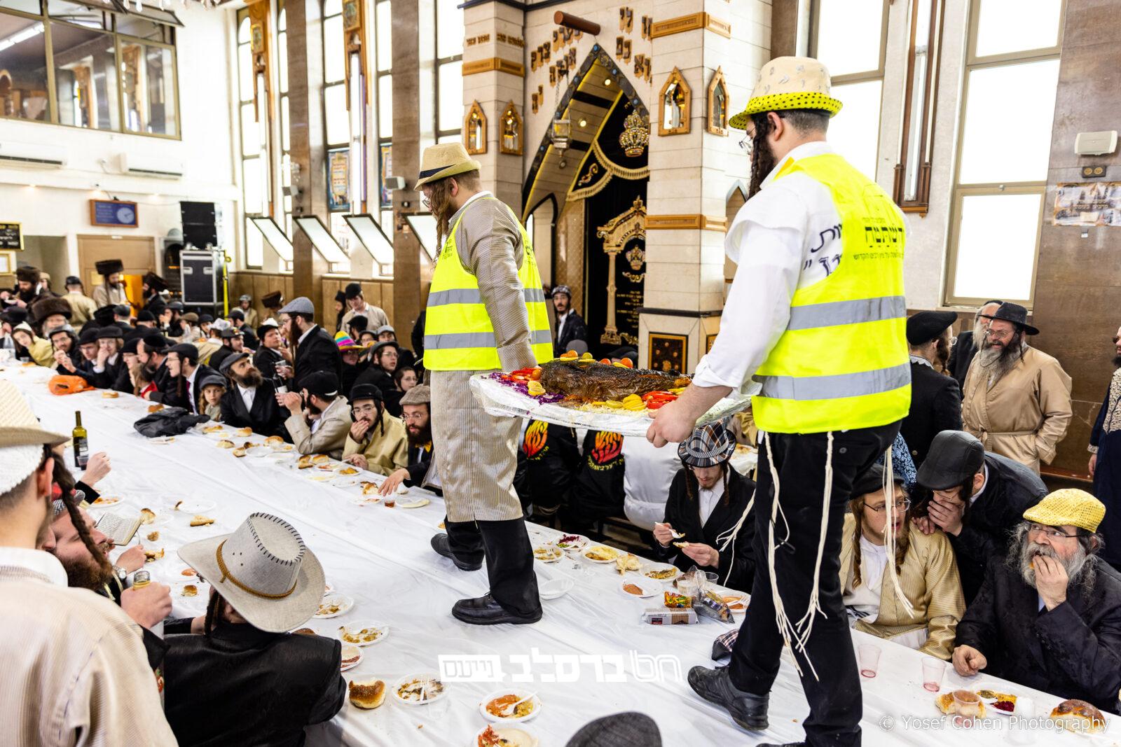והכינו: מקבץ שיעורי הכנה לימי הפורים מחשובי אנ"ש |♪