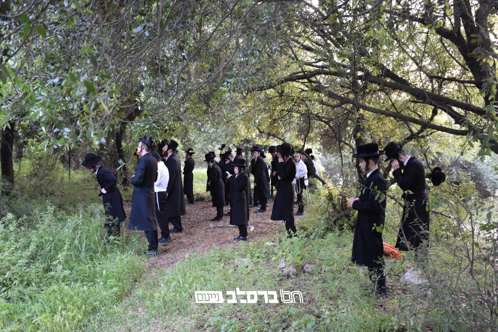 ביתר • 'חיי נצח' במסע לצפון לקראת זמן הקיץ