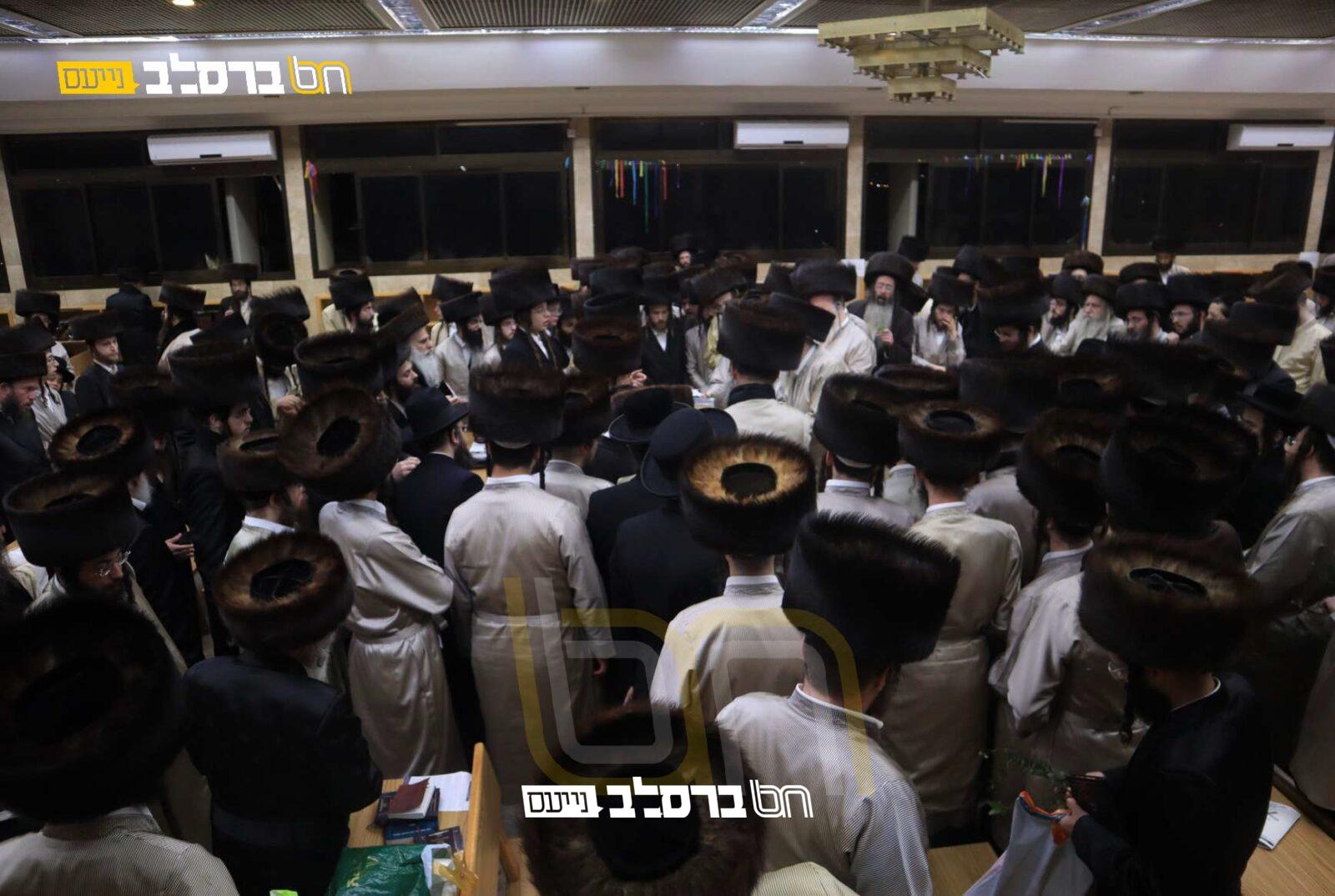 'מורשת הנחל' • מגזין סקירה רב תוכן 'אין פאבריק'