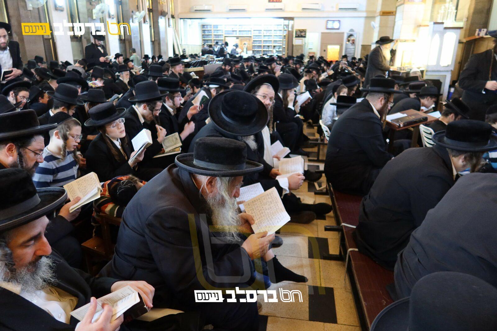 אֵלִי צִיּוֹן וְעָרֶיהָ • תשעה באב ב'שוהל' |◄