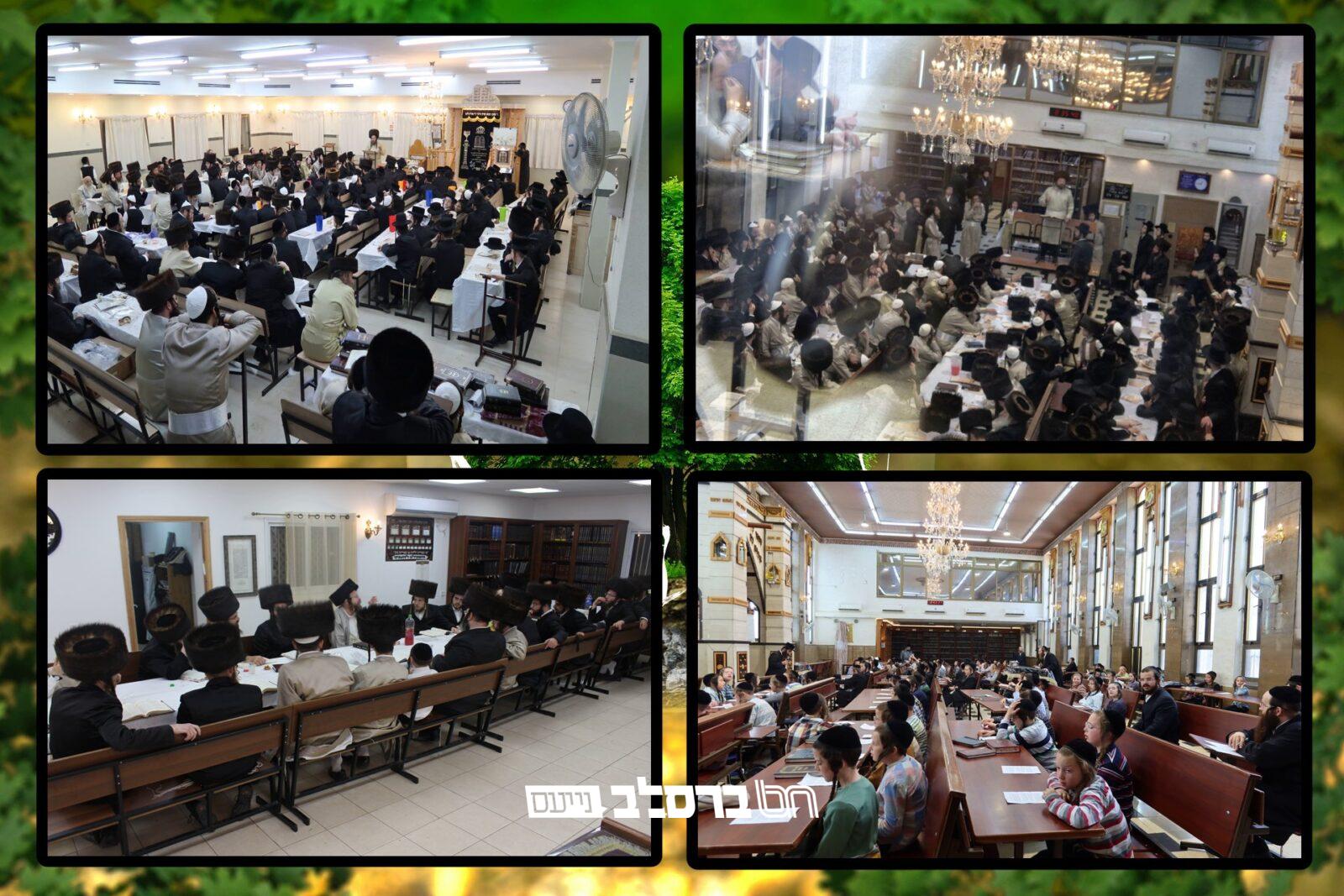 'שבת שפכי' • סיכום מחצרות אנ"ש