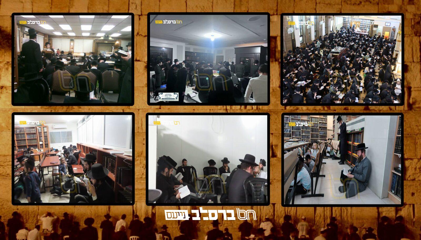בָּכוֹ תִבְכֶּה • תשעה באב בחצרות אנ"ש | מתעדכן |◄