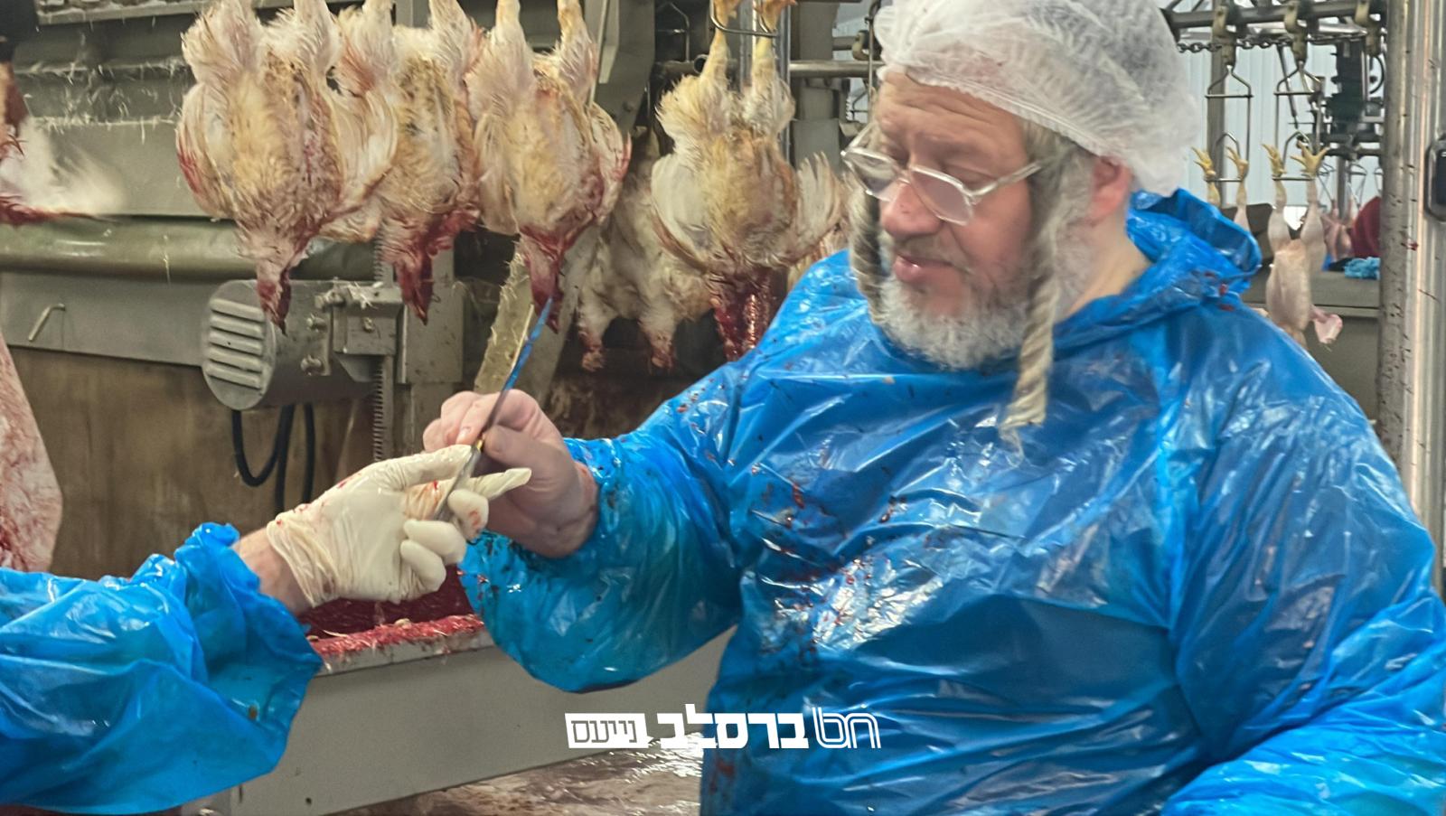 קיבוץ תשפ"ד • החלה השחיטה להכנסת אורחים 'אזמין'