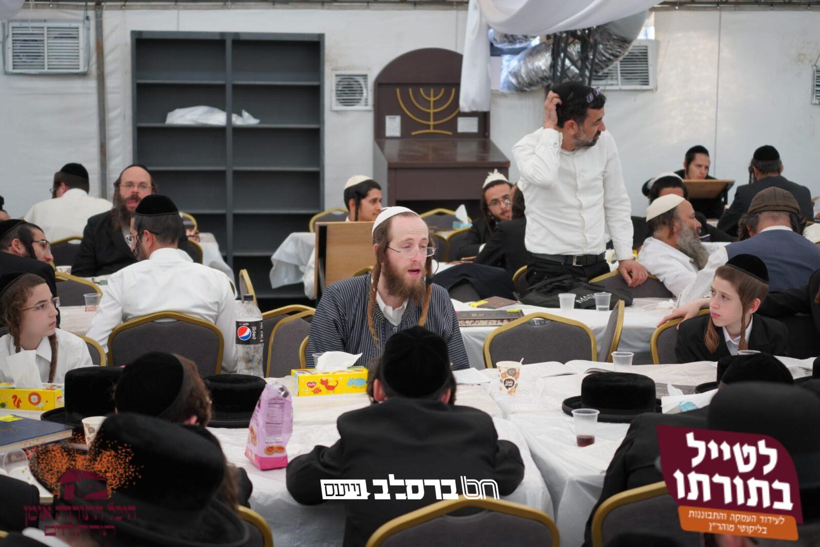 התורה הזמנית • 'תמימי דרך' ו'לטייל בתורתו' עם שני מסלולים | הפרטים