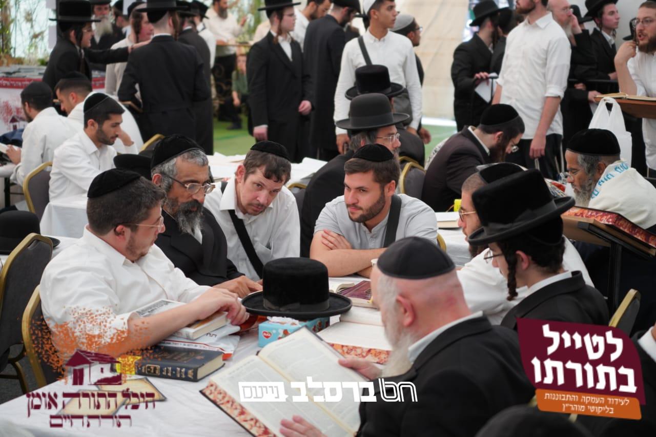 התורה הזמנית • כולל 'לטייל בתורתו' בכל ליל שישי | הפרטים