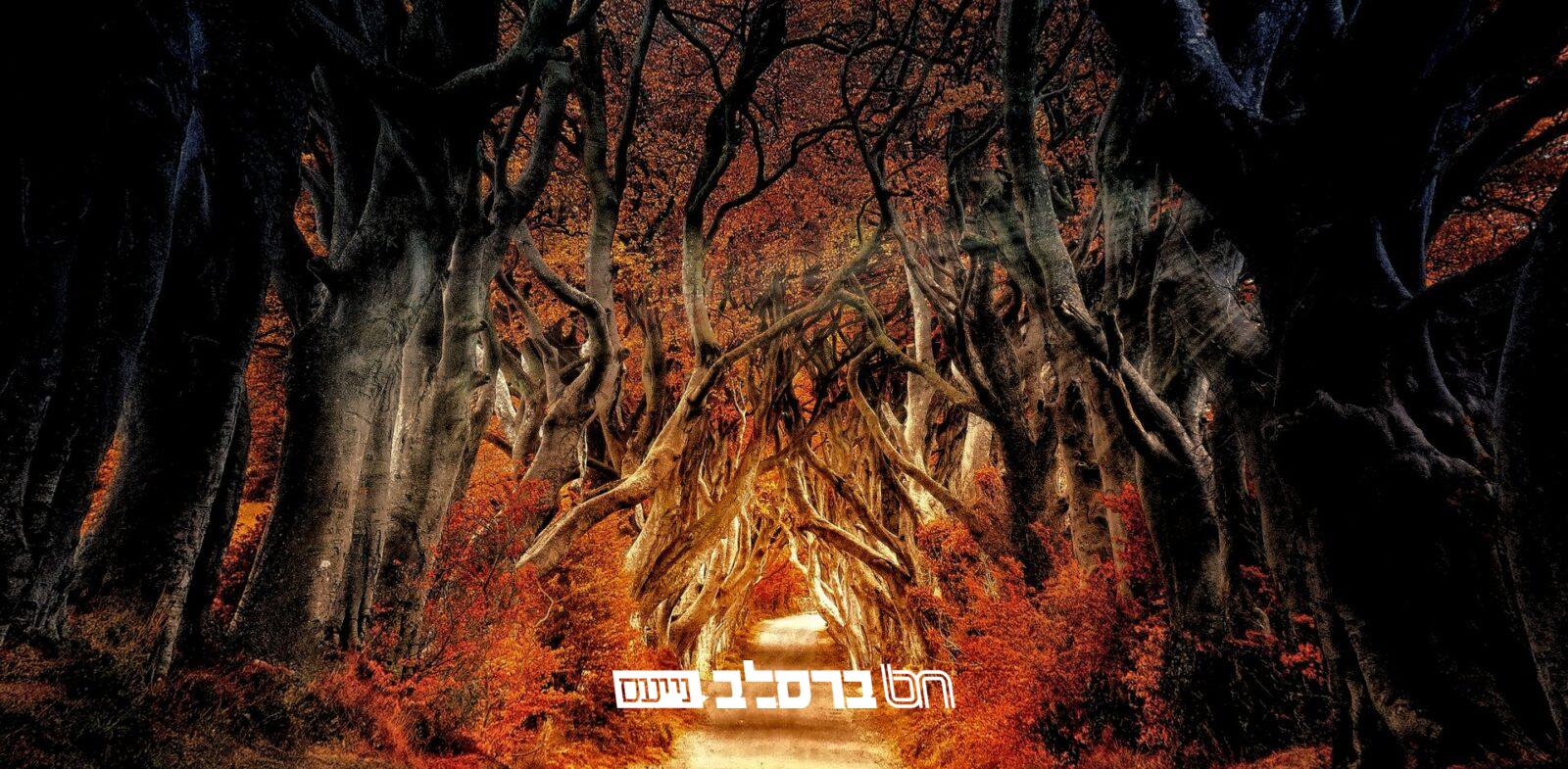 'סיפורי מעשיות': מעשה ג' 'מַעֲשֶׂה מֵחִגֵּר' #03|♫